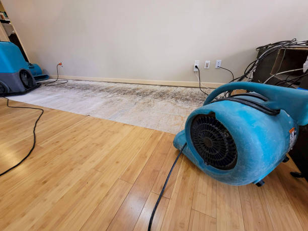 Professional Basement Flood Cleanup technician working in Davilla, TX